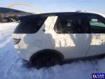 Land Rover Discovery Sport Discovery Sport 2.0 TD4 HSE aut Aukcja 277603 - grafika 6