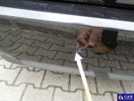BMW Seria 3 320 Touring Diesel Mild Hybrid MR`19 E6d G21 Aukcja 289330 - grafika 66