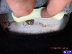 Ford Focus 1.6 MR`15 E6 Aukcja 285759 - grafika 11