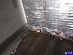 Schmitz Cargobull SCB*S3B 36.0t  Aukcja 289217 - grafika 84