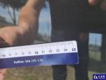 Volkswagen Polo VI 1.6 TDI MR`18 E6 Aukcja 290274 - grafika 38