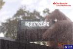 Opel Zafira Life 2.0 CDTI Extra Long Family Elite Aut. Aukcja 290325 - grafika 115