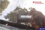 Opel Zafira Life 2.0 CDTI Extra Long Family Elite Aut. Aukcja 290325 - grafika 48