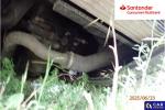 Peugeot Boxer 435 BlueHDi L4H2 Pro Aukcja 290333 - grafika 20