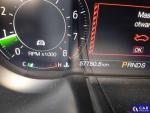 Ford Mustang  Aukcja 290263 - grafika 8