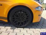 Ford Mustang  Aukcja 290263 - grafika 56