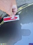 Opel Insignia 1.5 T Elite S&S aut Aukcja 294716 - grafika 39