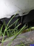 Ford Transit FT Connect 210 L2 1.5 TDCi MR`15 E6 2.1t Aukcja 294291 - grafika 41