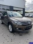 Volkswagen Tiguan  Aukcja 294817 - grafika 7