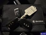 Skoda Octavia DRAG & WEBASTO PKT, BUSINESS-P Aukcja 295809 - grafika 5
