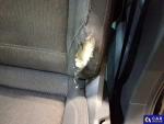 Volkswagen Passat Comfortline BMT/Start-Stopp Aukcja 296127 - grafika 90