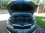 Skoda Superb III 2.0 TSI MR`20 E6d Aukcja 296966 - grafika 11