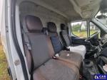 Iveco Daily  Aukcja 297251 - grafika 25