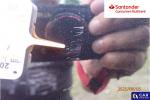 Toyota Camry 2.5 Hybrid Comfort CVT Aukcja 297158 - grafika 81