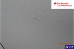 Mazda 2 1.5 Hybrid Agile CVT Aukcja 297184 - grafika 52