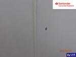 Opel Movano CDTI L3H2 Aukcja 297185 - grafika 128