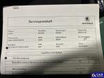 Skoda Octavia Inköpt beg, det finns ingen s Aukcja 299526 - grafika 15