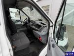 Ford Transit FT 350 2.0 TDCi MR`16 E6 3.5t Aukcja 300483 - grafika 31