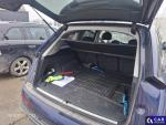 Audi Q7 50 TDI MR`20 E6d 4J Aukcja 301309 - grafika 19
