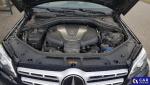 Mercedes-Benz GLS GLS 350 d 4-Matic Aukcja 301335 - grafika 16