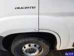 Fiat Ducato 35 2.3 M-jet MR`16 E6d 3.5t Aukcja 301841 - grafika 142