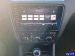 Skoda Octavia Premium Edition Aukcja 301460 - grafika 8