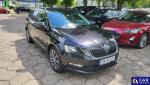 Skoda Octavia 1.8 TSI 4x4 Drive DSG Aukcja 302516 - grafika 3