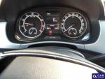 Skoda Fabia III 1.0 TSI MR`19 E6d Aukcja 303631 - grafika 9