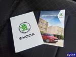 Skoda Fabia III 1.0 TSI MR`19 E6d Aukcja 303022 - grafika 63