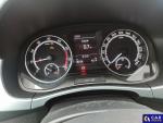 Skoda Fabia III 1.0 TSI MR`19 E6d Aukcja 303024 - grafika 9