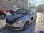 Skoda Fabia III 1.0 TSI MR`19 E6d Aukcja 303412 - grafika 1