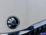 Skoda Octavia Active Aukcja 303614 - grafika 32
