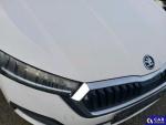 Skoda Octavia Active Aukcja 303614 - grafika 33