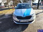 Skoda Fabia III 1.0 TSI MR`19 E6d Aukcja 304092 - grafika 8