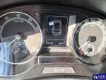 Skoda Fabia III 1.0 TSI MR`19 E6d Aukcja 304092 - grafika 9
