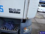 DAF LF  Aukcja 304656 - grafika 15