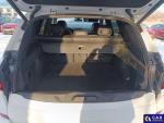BMW X5 X5 xDrive30d aut Aukcja 305097 - grafika 25