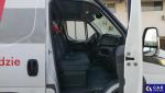 Iveco Daily Aukcja 306693 - grafika 26