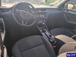 Skoda Octavia III 2.0 TDI-CR MR`18 E6 Aukcja 307167 - grafika 7