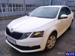 Skoda Octavia III 1.0 TSI MR`18 E6 Aukcja 307171 - grafika 1