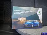 Skoda Fabia 1.0 TSI Ambition Aukcja 307867 - grafika 35