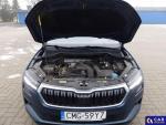 Skoda Karoq  Aukcja 307686 - grafika 14