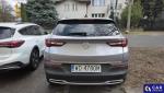 Opel Grandland X Grandland X 1.2 T GPF Elite S... Aukcja 308462 - grafika 8