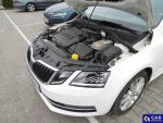 Skoda Octavia III 2.0 TDI-CR MR`18 E6 Aukcja 308611 - grafika 11