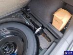 Volkswagen Tiguan Allspace 2.0 TSI MR`17 E6 Aukcja 312691 - grafika 29