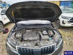 Skoda Karoq  TDI MR`17 E6 Aukcja 310613 - grafika 11