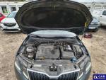 Skoda Octavia III 2.0 TDI-CR MR`18 E6 Aukcja 309757 - grafika 11