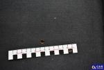 Skoda Roomster 1.6 TDI-CR MR`11 E5 Aukcja 311518 - grafika 80