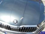 Skoda Octavia IV 2.0 TDI MR`20 E6d Aukcja 310591 - grafika 35