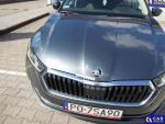 Skoda Octavia IV 2.0 TDI MR`20 E6d Aukcja 310837 - grafika 38